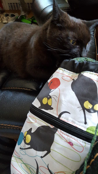 black cat and knitting project bag