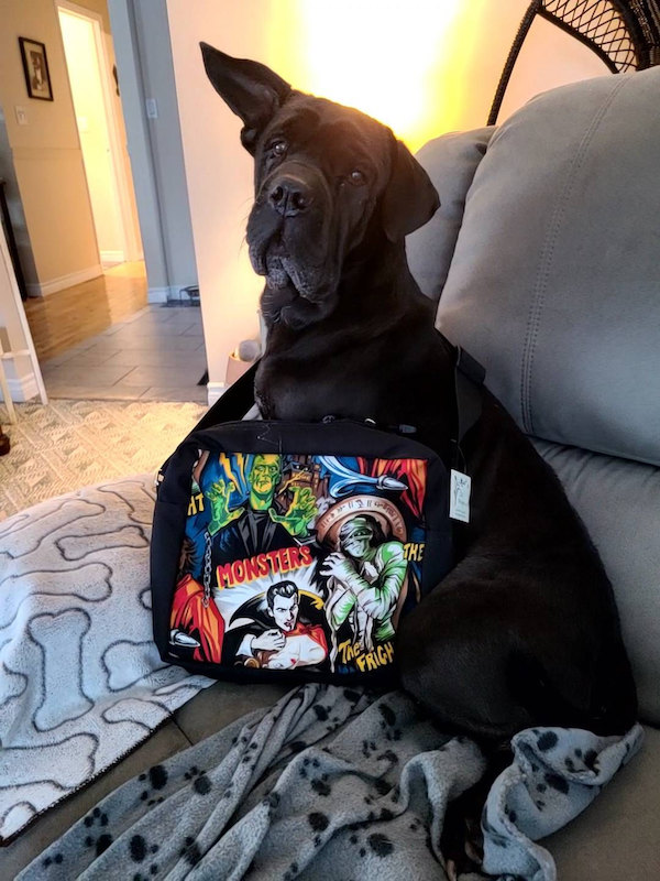 Movie Monster shoulder bag and adorable dog