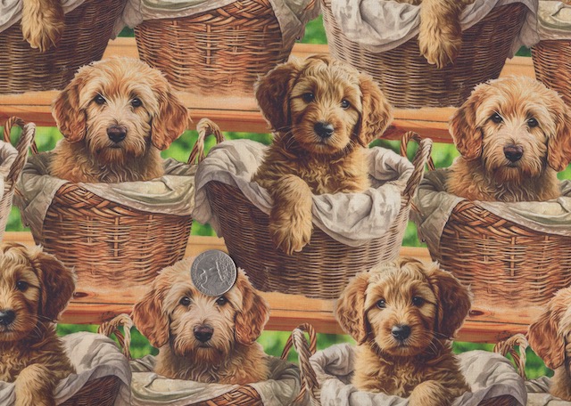 Goldendoodles soft sided tote with matching tile bag