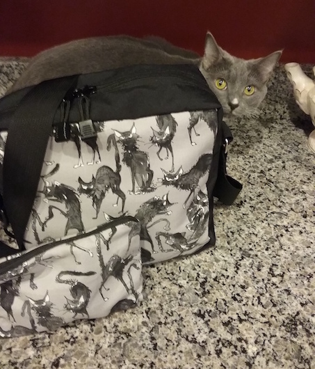 black cat shoulder bag