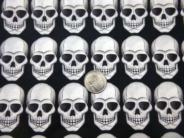 skulls on black pencil case