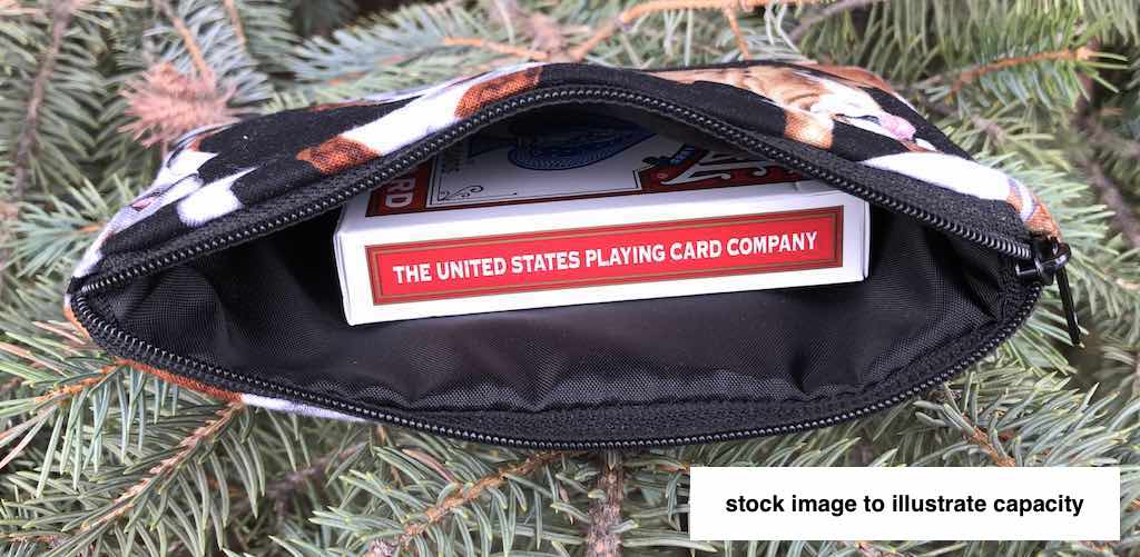 small zip bag to hold playing cards