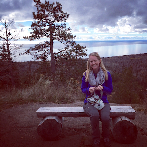 Kipster knitting bag