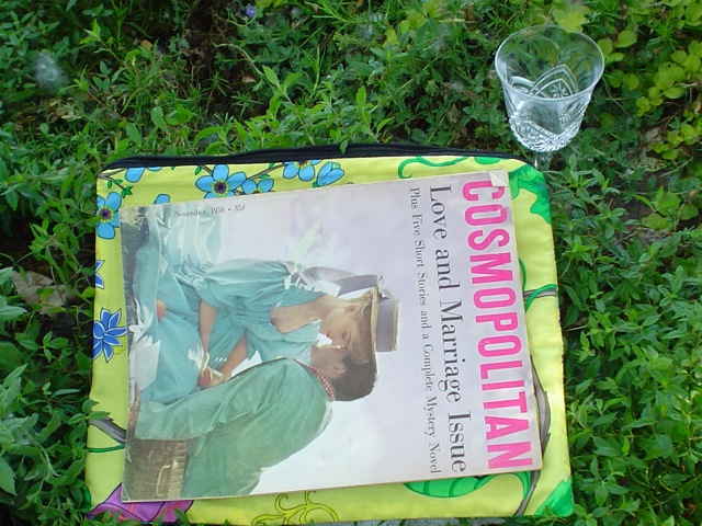 unusual zippered  portfolio case