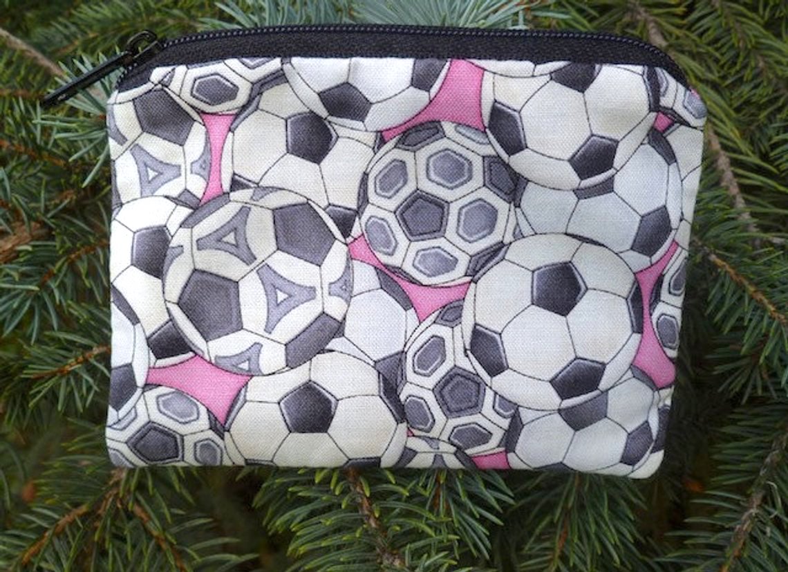 Soccer balls on pink coin purse, The Raven
